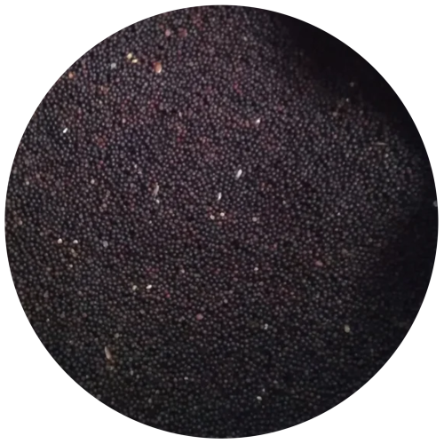 Rubsen Red Rapeseed 1kg