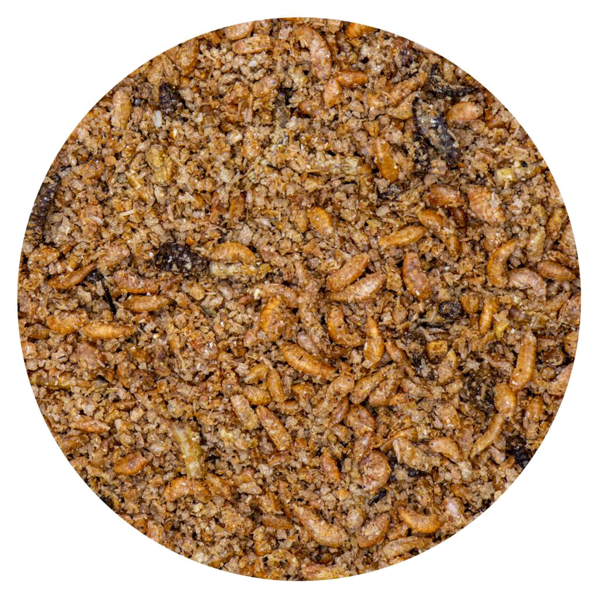 Avimax Forte Insect Patee Premium 800g - Image 2