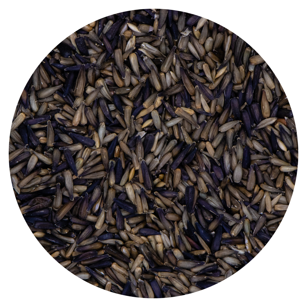 Sunflower Seeds 25kg