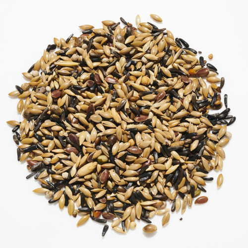 Countrywide Canary No Rapeseed 20kg