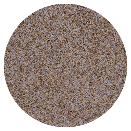 Floralia Foniopaddy 1kg